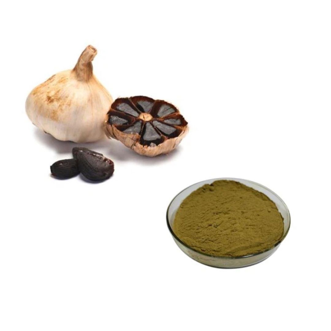 Black Garlic Powder
