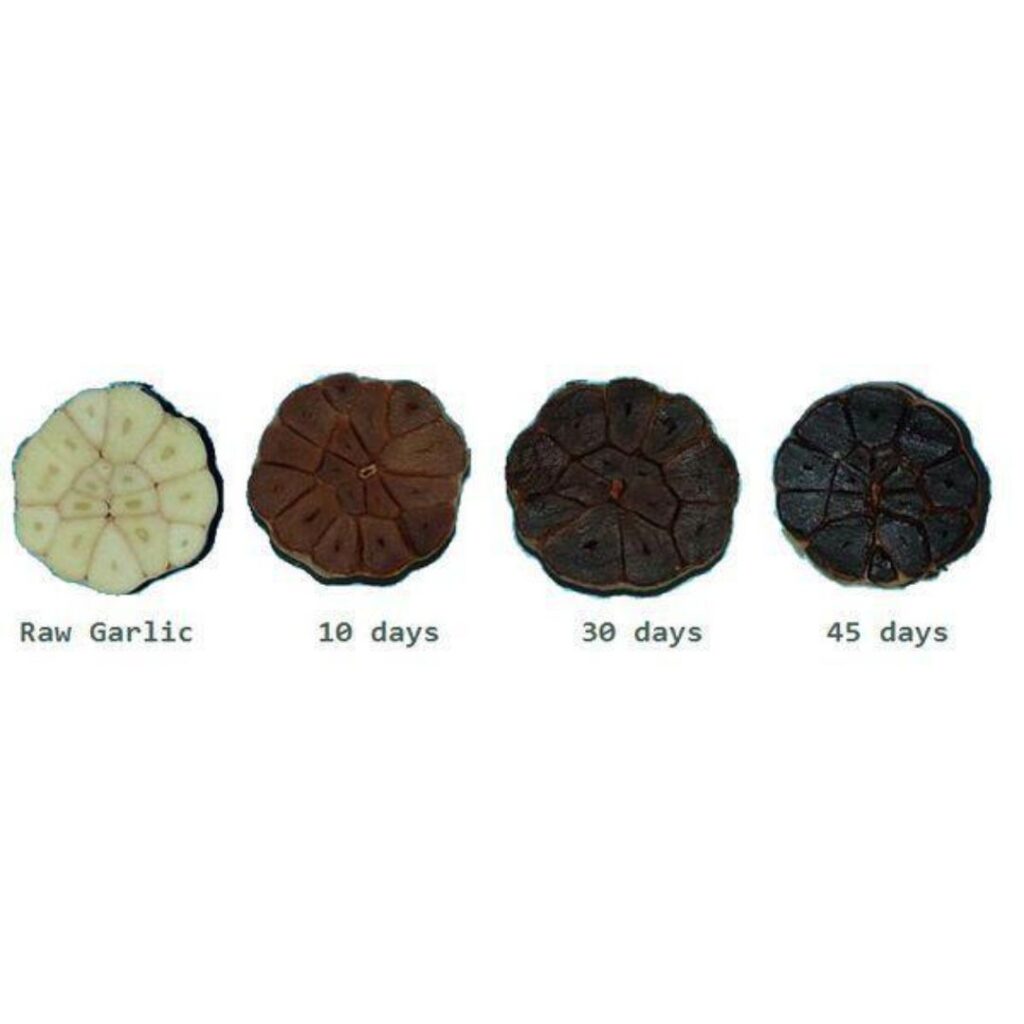 black garlic process