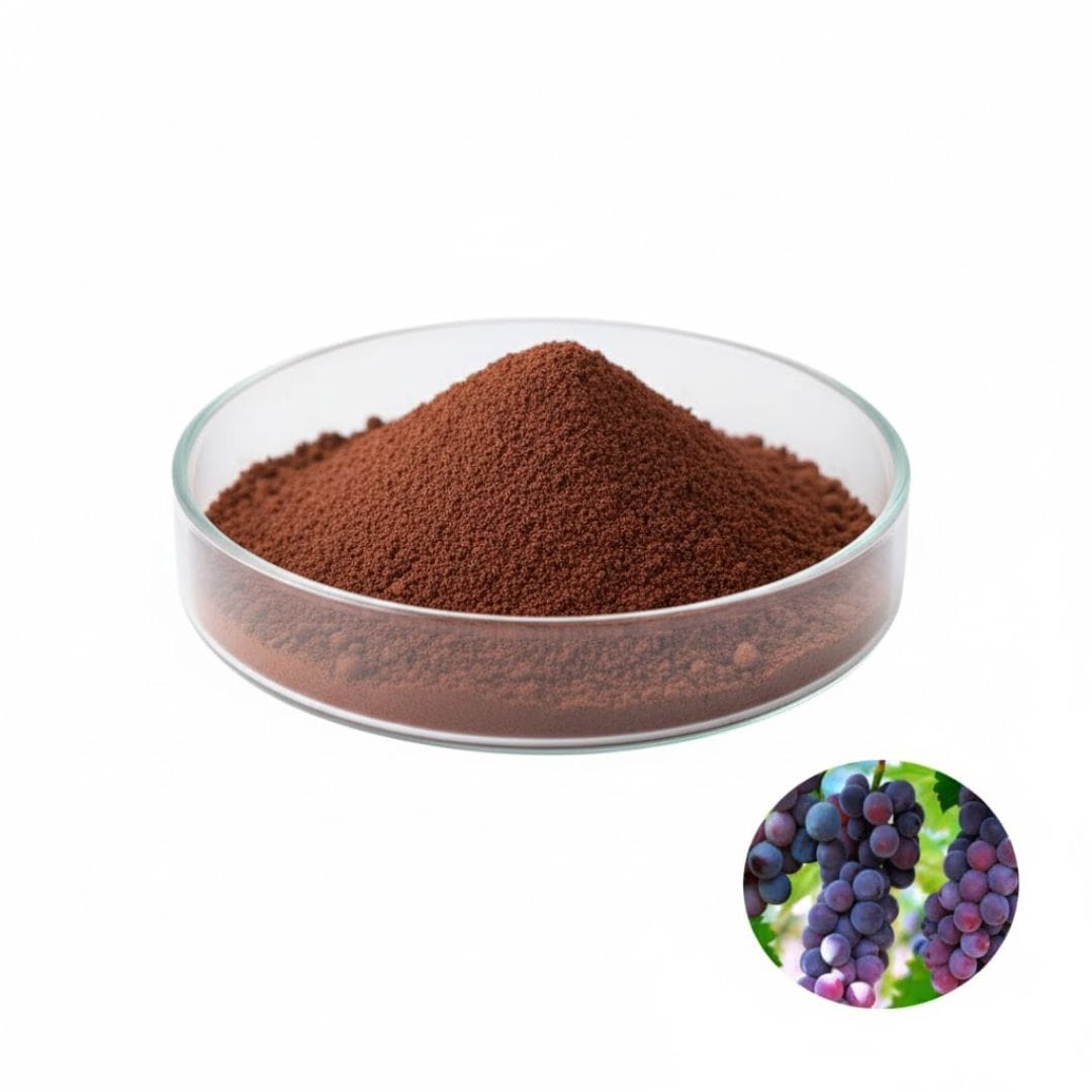 Grape Seed Extract