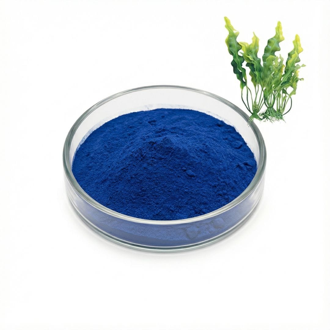 Phycocyanin Powder