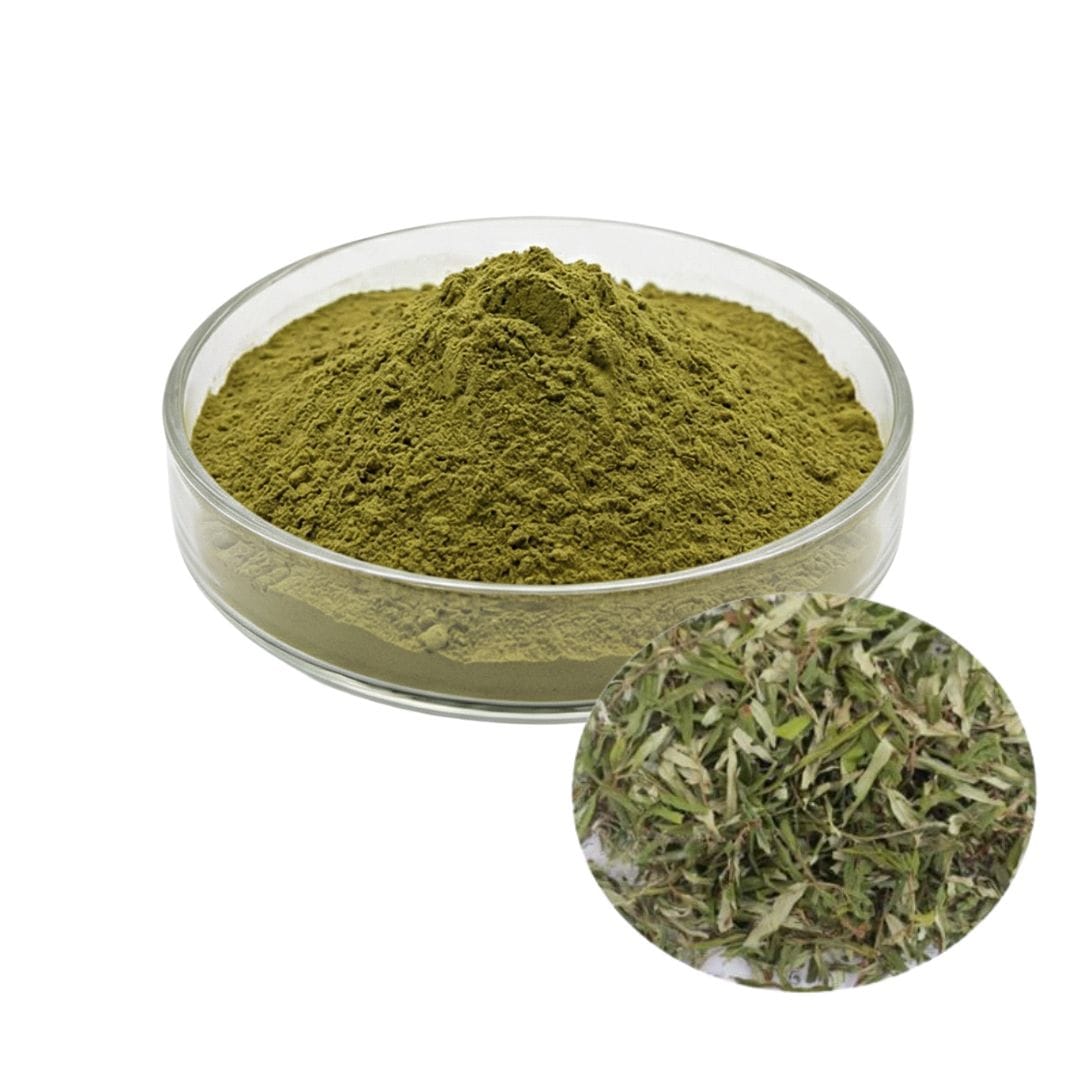 Seabuckthorn Leaf Extract Powder