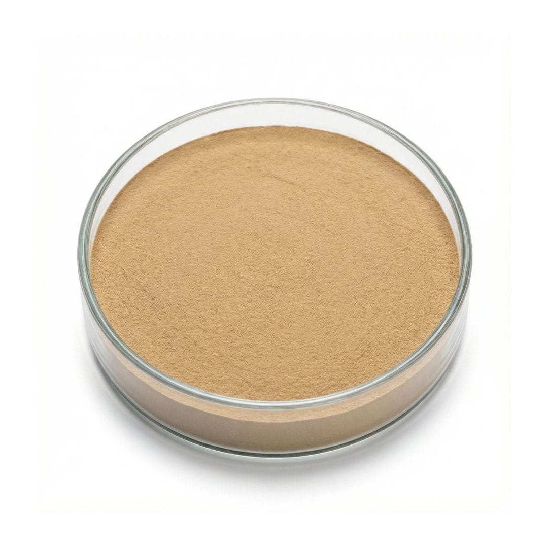 Shiitake Mushroom Powder