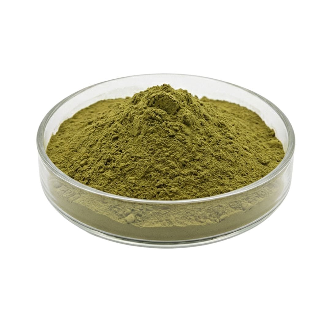 Barley Grass Extract Powder