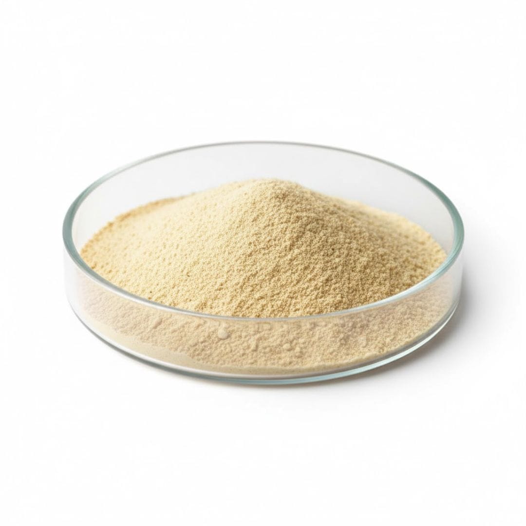 Yeast Extract Powder